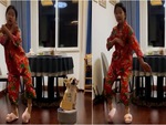 Video hài nhất tuần qua: Chú chó hát cho cô chủ nhảy vũ điệu Làng lá