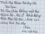 'Cười chảy nước mắt' với những bài văn bá đạo của học trò