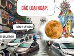 Long Vương đúc kết các loại ngập