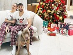 Thủ môn Arsenal nuôi chó Bully 'sát thủ’ phòng trộm cướp