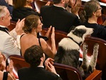 Quên John Cena đi, Oscar còn có chú chó Messi biết vỗ tay