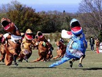 Cuộc đua khủng long độc lạ ở Nhật Bản: 'Vui lắm mấy bà ơi!'