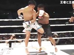 Đá hạ bộ đối thủ, võ sĩ kickboxing thắng knock-out gây tranh cãi