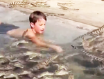 Cậu bé vui đùa tắm cùng đàn cá sấu