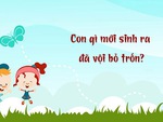 Con gì mới sinh ra đã vội bỏ trốn?