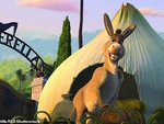 Chú lừa hài hước Donkey trong 'Shrek' sẽ có phần phim riêng