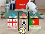 Thú cưng dự đoán tuyển Bồ Đào Nha sẽ thắng Georgia tại Euro 2024