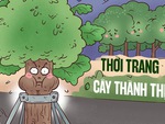 Thời trang 'bóp chân thắt cổ' của cây xanh đô thị