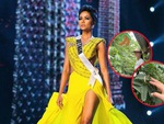 H'Hen Niê khoe cây me đặc biệt được trồng từ Miss Universe 2018