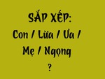 Thử tài tiếng Việt: Sắp xếp các từ sau thành câu có nghĩa (P126)