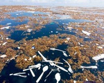 Rác thải làm ô nhiễm biển ở đảo du lịch nổi tiếng