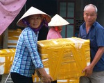 Hà Tĩnh sơ tán hơn 47.000 người trước bão số 10