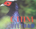 chim-viet-nam-1504843887199-240-0-613-664-crop-1504843901602.jpg