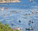 Kiến nghị cho làm du lịch ở đảo Bình Ba