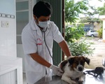 Đừng nhầm nhiễm sán chó với giun đũa chó
