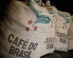 Sản lượng xuất khẩu cà phê của Brazil giảm mạnh trong năm nay
