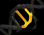 Lần đầu tiên quay phim quá trình chỉnh sửa gen CRISPR