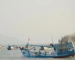 Bà Rịa - Vũng Tàu: Chuyển đổi nghề giã cào, ngư dân 
