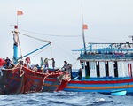 Ngư dân bỏ tiền "mua biển" và án phạt "thẻ vàng" từ EU