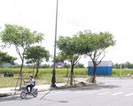 Đà Nẵng sẽ kiến nghị với Chính phủ vụ cấp đất sai
