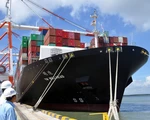 Thủ tướng yêu cầu báo cáo việc cảng Cái Mép - Thị Vải chỉ đạt 50% công suất