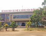 Đắk Lắk "khai tử" sàn giao dịch cà phê Buôn Ma Thuột