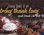 Trung Quốc ồ ạt trồng thanh long cạnh tranh với Việt Nam