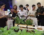 Đưa 6 startup Việt ra thế giới trong năm 2018