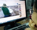 Truy thu  88 tổ chức, cá nhân có thu nhập từ Google, Facebook