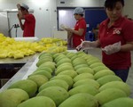 Cả ngành rau quả VN xuất khẩu thua trái kiwi của New Zealand