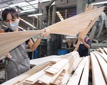 Chiến tranh thương mại Mỹ - Trung: Việt Nam có thể thành 