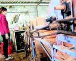 Nhà sáng chế nông dân: "Ít bằng cấp, tôi chỉ lấy bằng lòng của bà con làm điểm tựa"