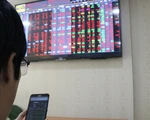 Chứng khoán 'nằm sàn' phiên thứ 8, lại thủng mốc 900 điểm