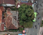 Mòn mỏi chờ phân loại biệt thự cũ
