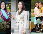 11-11: Phương Khánh trở về, Quốc Cơ, Quốc Nghiệp sẽ phá kỷ lục Guinness?
