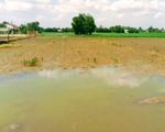 Nhà nông 