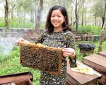 Cô gái phố núi với thương hiệu mật ong hoa cà phê