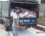 Phát hiện ô tô chở hơn 2.000kg nội tạng hôi thối