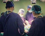 Khỉ cắn nát tay người phụ nữ