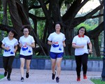 Tuân thủ luật và nhường nhịn nhau khi ra đường