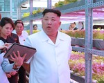 Bí mật về tỉ giá hối đoái của Triều Tiên