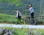 Con bắt đầu thương thương nhớ nhớ, làm gì đây?