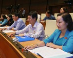 Cho phép sáp nhập các đại học nhỏ thành đại học quy mô lớn