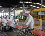 Việc làm cho lao động lớn tuổi mất việc