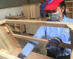 Doanh nghiệp gỗ Trung Quốc tràn sang, cảnh báo nguy cơ lẩn tránh thuế