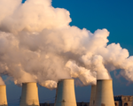 Cây xanh trên trái đất không đủ lọc hết lượng CO2 đang có