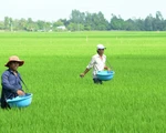 Nông dân 