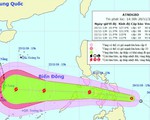 Áp thấp nhiệt đới mạnh cấp 7, cách miền Trung Philippines 300km