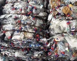 Nhập khẩu phế liệu trái phép, nhóm giám đốc bị bắt