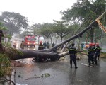105.000 người phải sơ tán, 1 người chết do bão số 9